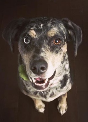 Julia_Austine___juliaaustine__•_Instagram_photos_and_videos